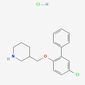 molecular formula C18H21Cl2NO B1424651 5-氯[1,1'-联苯]-2-基 3-哌啶基甲基醚盐酸盐 CAS No. 1219972-21-0