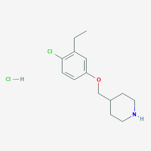 molecular formula C14H21Cl2NO B1424652 4-[(4-Chloro-3-ethylphenoxy)methyl]piperidine hydrochloride CAS No. 1219979-90-4
