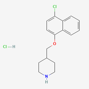 molecular formula C16H19Cl2NO B1424654 4-Chloro-1-naphthyl 4-piperidinylmethyl ether hydrochloride CAS No. 1220034-45-6