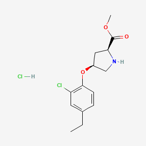 molecular formula C14H19Cl2NO3 B1424659 Methyl (2S,4S)-4-(2-chloro-4-ethylphenoxy)-2-pyrrolidinecarboxylate hydrochloride CAS No. 1354487-40-3