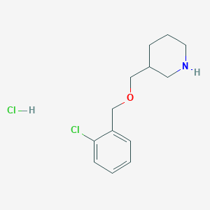 molecular formula C13H19Cl2NO B1424666 3-(2-氯苄氧基甲基)-哌啶盐酸盐 CAS No. 1220033-08-8