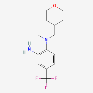molecular formula C14H19F3N2O B1424675 N~1~-甲基-N~1~-(四氢-2H-吡喃-4-基甲基)-4-(三氟甲基)-1,2-苯二胺 CAS No. 1220028-71-6
