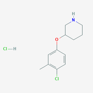 molecular formula C12H17Cl2NO B1424676 3-(4-Chloro-3-methylphenoxy)piperidine hydrochloride CAS No. 1220029-14-0