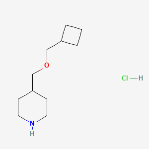 molecular formula C11H22ClNO B1424689 4-((Cyclobutylmethoxy)methyl)piperidine hydrochloride CAS No. 1219979-37-9