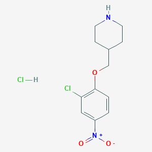 molecular formula C12H16Cl2N2O3 B1424711 4-[(2-Chloro-4-nitrophenoxy)methyl]piperidine hydrochloride CAS No. 1220016-48-7