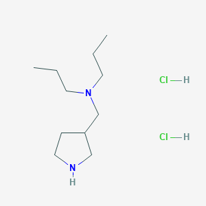 molecular formula C11H26Cl2N2 B1424747 n-Propyl-n-(3-pyrrolidinylmethyl)-1-propanamine dihydrochloride CAS No. 1219964-46-1