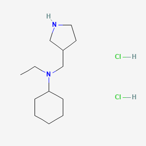 molecular formula C13H28Cl2N2 B1424755 n-Ethyl-n-(3-pyrrolidinylmethyl)cyclohexanamine dihydrochloride CAS No. 1219964-23-4