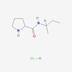 molecular formula C9H19ClN2O B1424823 盐酸 N-(叔丁基)-2-吡咯烷酮甲酰胺 CAS No. 1236255-05-2