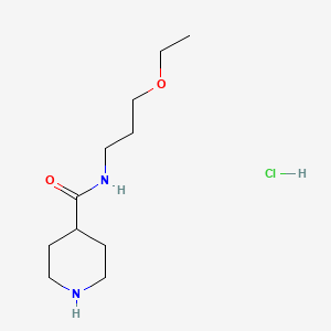 molecular formula C11H23ClN2O2 B1424825 N-(3-Ethoxypropyl)-4-piperidinecarboxamide hydrochloride CAS No. 1220030-38-5