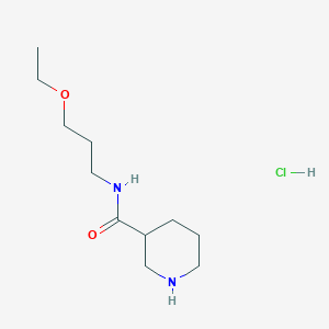 molecular formula C11H23ClN2O2 B1424839 N-(3-乙氧基丙基)-3-哌啶甲酰胺盐酸盐 CAS No. 1220038-16-3
