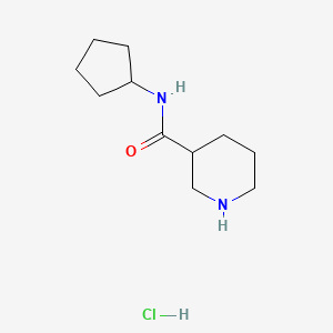 molecular formula C11H21ClN2O B1424842 N-Cyclopentyl-3-piperidinecarboxamide hydrochloride CAS No. 937724-79-3