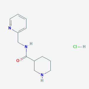 molecular formula C12H18ClN3O B1424857 N-(pyridin-2-ylmethyl)piperidine-3-carboxamide hydrochloride CAS No. 1220036-37-2