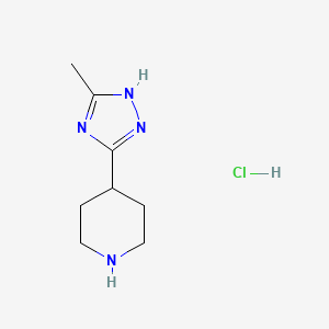 molecular formula C8H15ClN4 B1424883 4-(5-methyl-1H-1,2,4-triazol-3-yl)piperidine hydrochloride CAS No. 955027-70-0