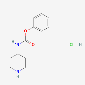 molecular formula C12H17ClN2O2 B1424897 phenyl N-(piperidin-4-yl)carbamate hydrochloride CAS No. 1251924-51-2
