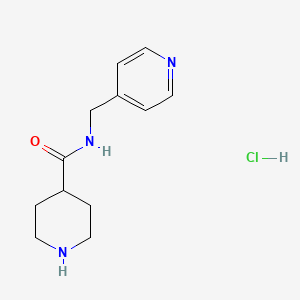 molecular formula C12H18ClN3O B1425109 N-(4-吡啶甲基)-4-哌啶甲酰胺盐酸盐 CAS No. 1219976-65-4