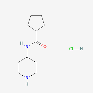 B1425178 N-(piperidin-4-yl)cyclopentanecarboxamide hydrochloride CAS No. 1217113-50-2