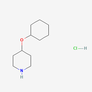 molecular formula C11H22ClNO B1425278 4-(シクロヘキシルオキシ)ピペリジン塩酸塩 CAS No. 1189551-80-1