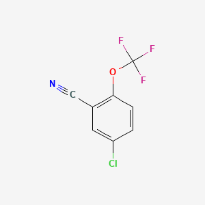 molecular formula C8H3ClF3NO B1425517 5-氯-2-(三氟甲氧基)苯甲腈 CAS No. 1092461-25-0