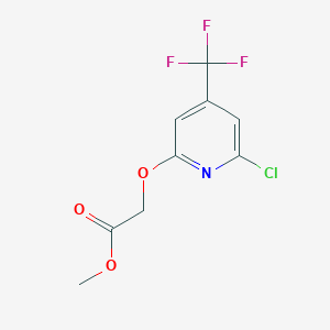 molecular formula C9H7ClF3NO3 B1425539 (6-Chloro-4-trifluoromethyl-pyridin-2-yloxy)-acetic acid methyl ester CAS No. 1160994-91-1
