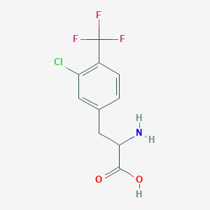 molecular formula C10H9ClF3NO2 B1425552 3-氯-4-(三氟甲基)-DL-苯丙氨酸 CAS No. 1259966-92-1