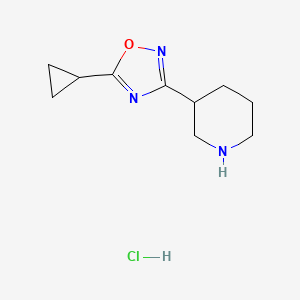 molecular formula C10H16ClN3O B1425913 3-(5-环丙基-1,2,4-噁二唑-3-基)哌啶盐酸盐 CAS No. 1375474-26-2