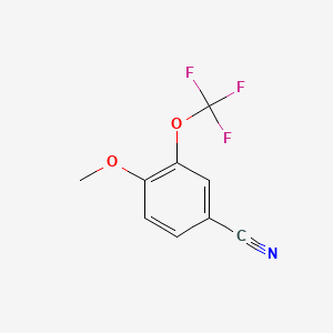 molecular formula C9H6F3NO2 B1425926 4-甲氧基-3-(三氟甲氧基)苯甲腈 CAS No. 1261653-03-5