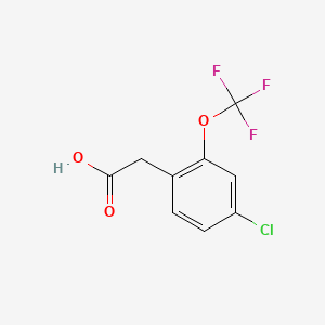 molecular formula C9H6ClF3O3 B1425937 4-氯-2-(三氟甲氧基)苯乙酸 CAS No. 1261570-91-5