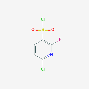 molecular formula C5H2Cl2FNO2S B1425959 6-氯-2-氟吡啶-3-磺酰氯 CAS No. 1261663-36-8