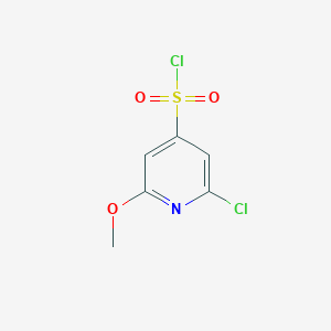 molecular formula C6H5Cl2NO3S B1425992 2-氯-6-甲氧基吡啶-4-磺酰氯 CAS No. 1261468-23-8