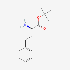 D-Homophenylalanine tert-Butyl Ester