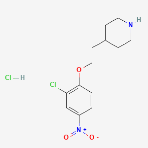 molecular formula C13H18Cl2N2O3 B1426048 4-[2-(2-Chloro-4-nitrophenoxy)ethyl]piperidine hydrochloride CAS No. 1220032-55-2