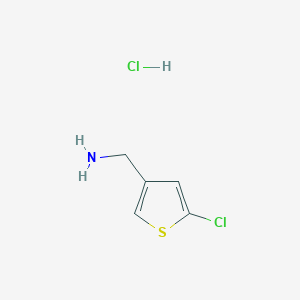B1426076 (5-Chlorothiophen-3-yl)methanamine hydrochloride CAS No. 1108712-55-5