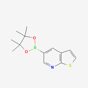 B1426091 5-(4,4,5,5-Tetramethyl-1,3,2-dioxaborolan-2-yl)thieno[2,3-b]pyridine CAS No. 1034579-02-6