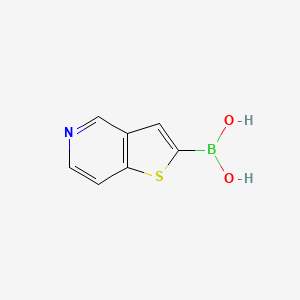 molecular formula C7H6BNO2S B1426103 チエノ[3,2-c]ピリジン-2-イルボロン酸 CAS No. 568582-98-9