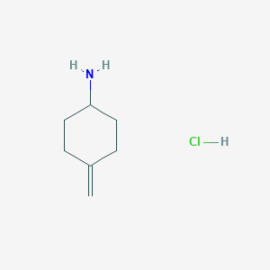 molecular formula C7H14ClN B1426154 4-亚甲基环己-1-胺盐酸盐 CAS No. 848650-02-2