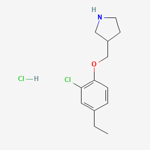 molecular formula C13H19Cl2NO B1426304 3-[(2-Chloro-4-ethylphenoxy)methyl]pyrrolidine hydrochloride CAS No. 1220039-13-3