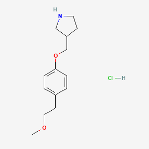 molecular formula C14H22ClNO2 B1426305 3-{[4-(2-甲氧基乙基)苯氧基]甲基}吡咯烷盐酸盐 CAS No. 1219967-80-2