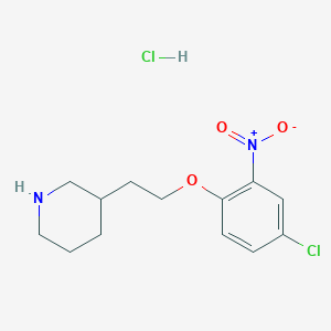 molecular formula C13H18Cl2N2O3 B1426369 3-[2-(4-氯-2-硝基苯氧基)乙基]哌啶盐酸盐 CAS No. 1220034-15-0