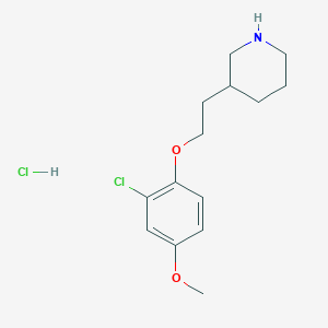 B1426376 3-[2-(2-Chloro-4-methoxyphenoxy)ethyl]piperidine hydrochloride CAS No. 1220029-41-3