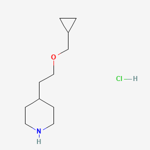 molecular formula C11H22ClNO B1426379 4-[2-(Cyclopropylmethoxy)ethyl]piperidine hydrochloride CAS No. 1219967-17-5