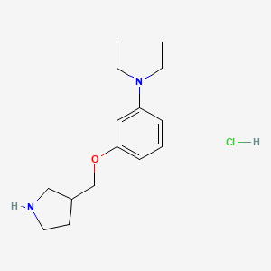 molecular formula C15H25ClN2O B1426380 N,N-二乙基-3-(3-吡咯烷基甲氧基)苯胺盐酸盐 CAS No. 1220029-80-0