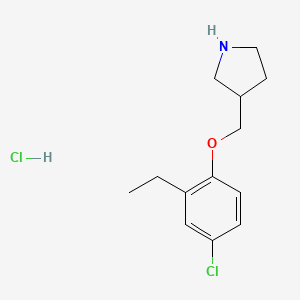 molecular formula C13H19Cl2NO B1426390 3-[(4-Chloro-2-ethylphenoxy)methyl]pyrrolidine hydrochloride CAS No. 1220029-48-0