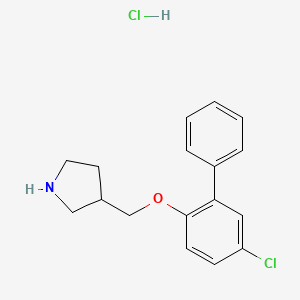 molecular formula C17H19Cl2NO B1426392 5-氯[1,1'-联苯]-2-基 3-吡咯烷基甲基醚盐酸盐 CAS No. 1220030-99-8
