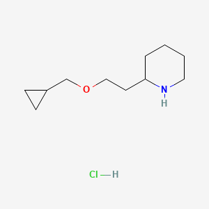 molecular formula C11H22ClNO B1426424 2-[2-(环丙基甲氧基)乙基]哌啶盐酸盐 CAS No. 1220016-34-1