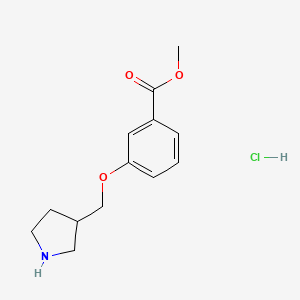 B1426426 Methyl 3-(3-pyrrolidinylmethoxy)benzoate hydrochloride CAS No. 1219968-06-5