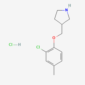 molecular formula C12H17Cl2NO B1426432 2-氯-4-甲基苯基 3-吡咯烷基甲基醚盐酸盐 CAS No. 1219956-91-8