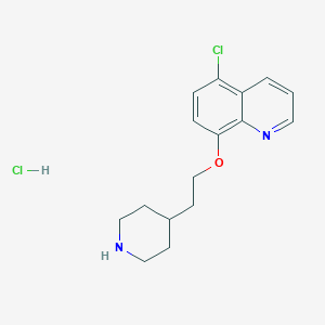 molecular formula C16H20Cl2N2O B1426434 5-氯-8-喹啉基 2-(4-哌啶基)乙醚盐酸盐 CAS No. 1220028-10-3