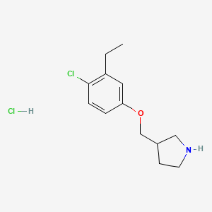 B1426435 3-[(4-Chloro-3-ethylphenoxy)methyl]pyrrolidine hydrochloride CAS No. 1219949-02-6