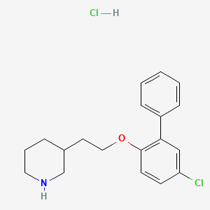 molecular formula C19H23Cl2NO B1426518 3-{2-[(5-氯[1,1'-联苯]-2-基)氧基]-乙基}哌啶盐酸盐 CAS No. 1219964-26-7