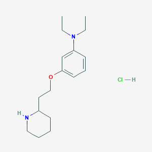 B1426521 N,N-Diethyl-3-[2-(2-piperidinyl)ethoxy]aniline hydrochloride CAS No. 1220016-92-1